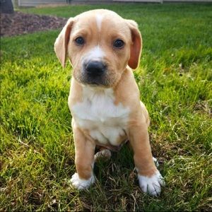 Meet your Posher, Caroline